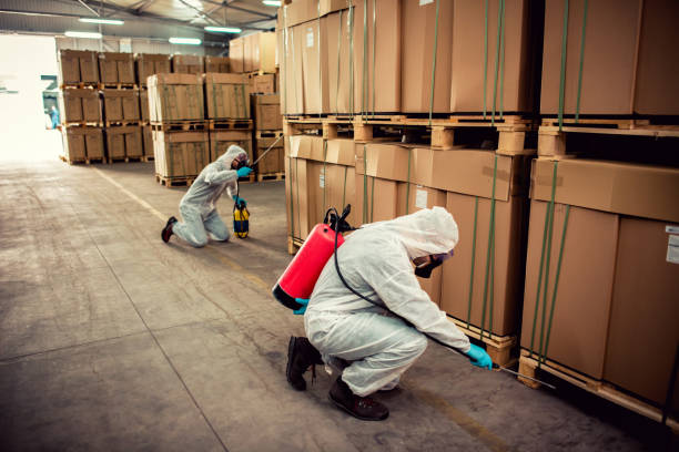 Best Local Pest Control Services  in Campbell, FL