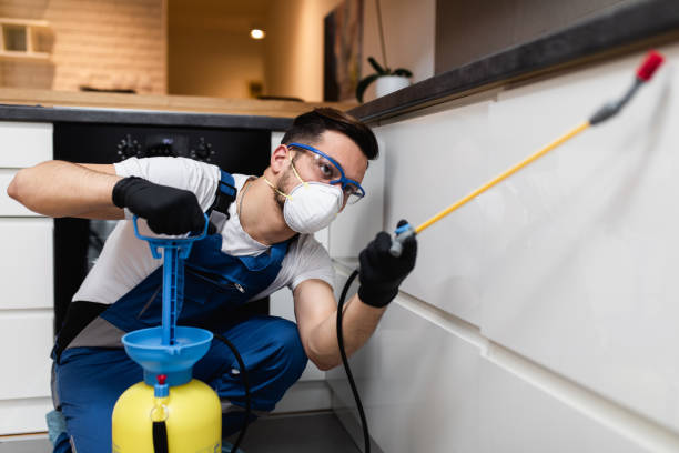 Best Cockroach Control Services  in Campbell, FL
