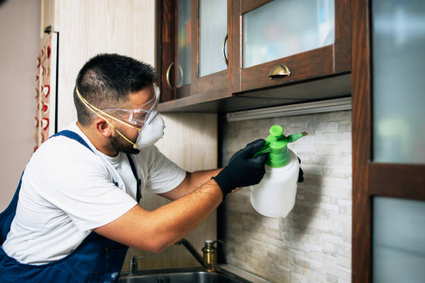 Best Affordable Pest Control Services  in Campbell, FL