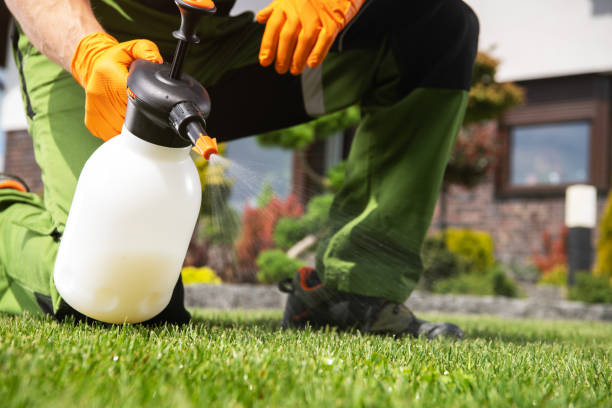 Best Mosquito Control Services  in Campbell, FL