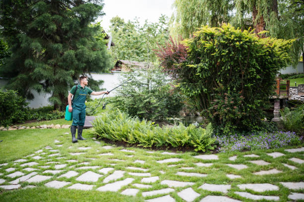 Best Mosquito Control Services  in Campbell, FL