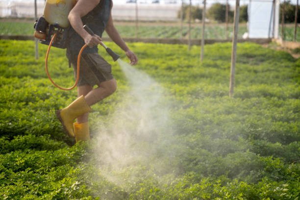 Best Exterminator Services  in Campbell, FL