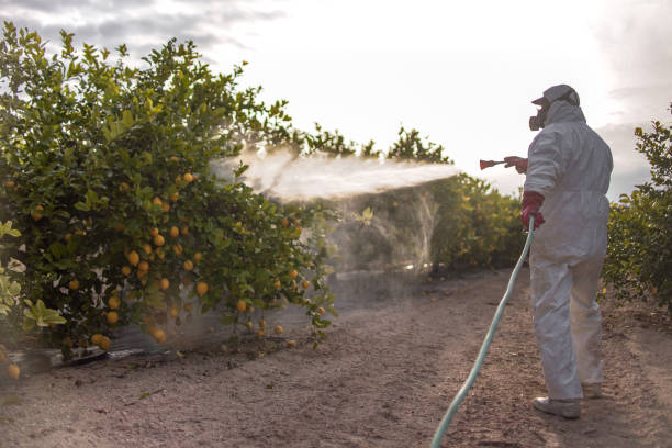 Best Pest Control Near Me  in Campbell, FL