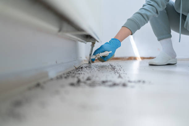 Best Wasp Removal Services  in Campbell, FL