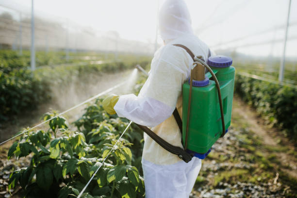 Best Best Pest Control Companies  in Campbell, FL
